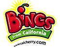 Bing Logo Web